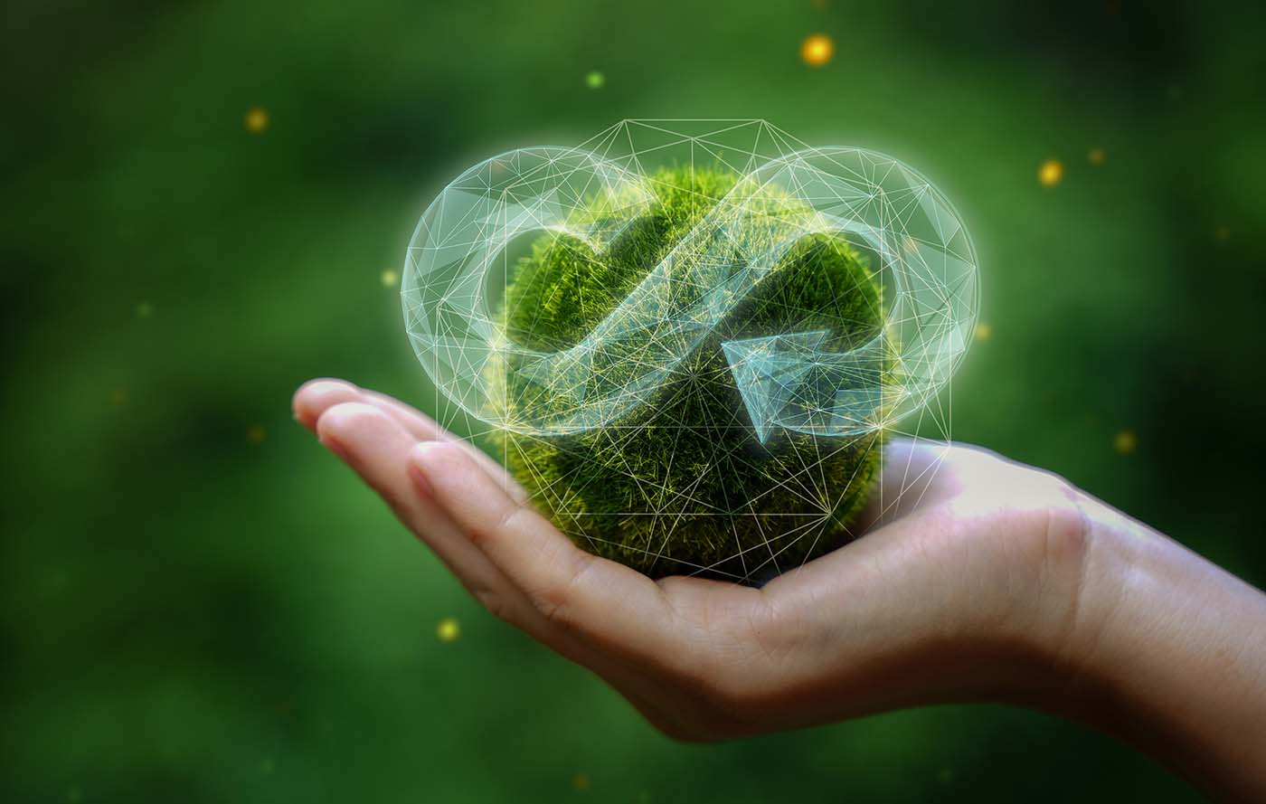 The Role of Pre-Demolition Audits in the Circular Economy